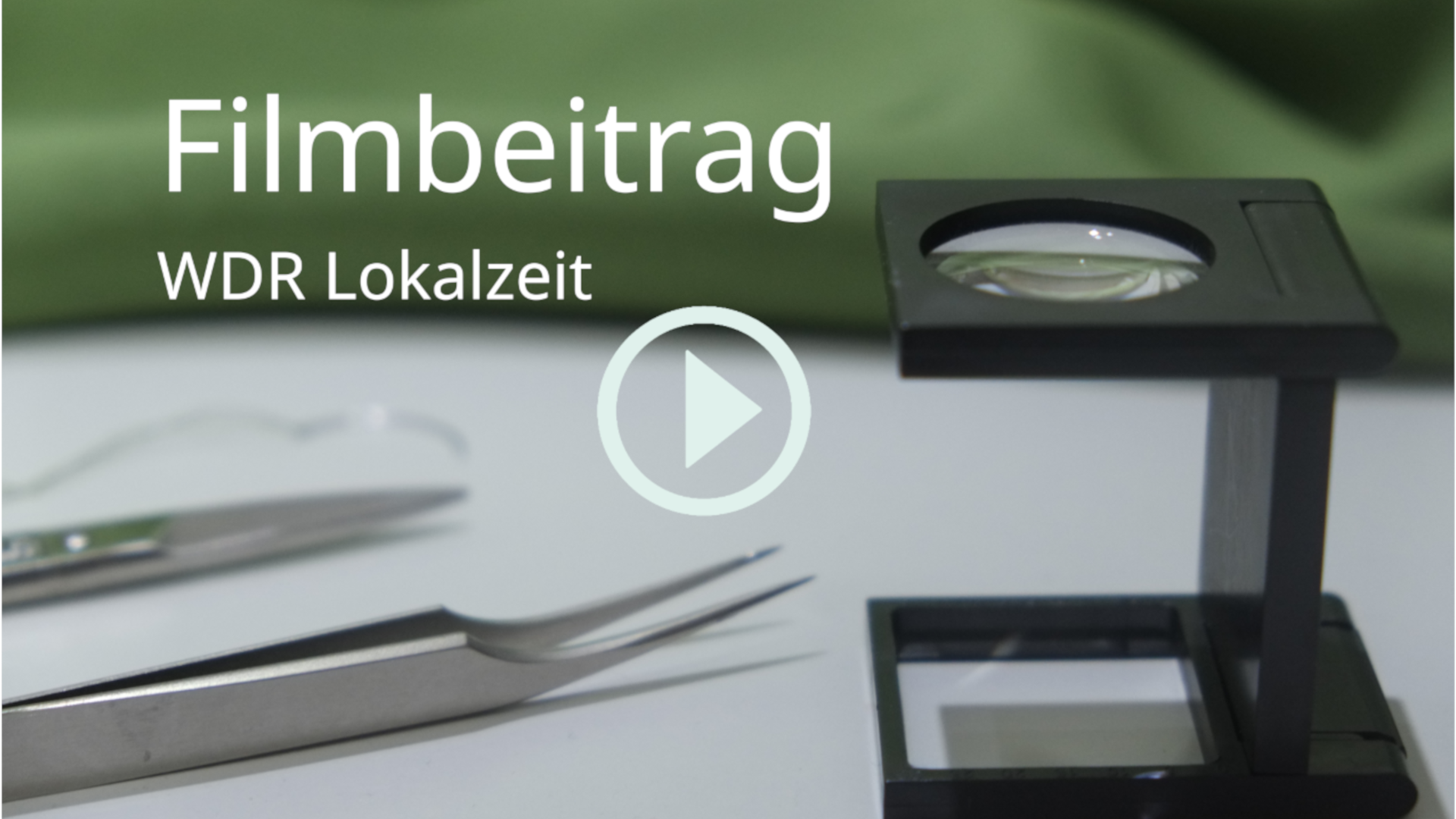 Filmbeitrag der WDR Köln Lokalzeit über unsere Arbeit bei Textilrestaurierung Lyko, vom 19.01.2024